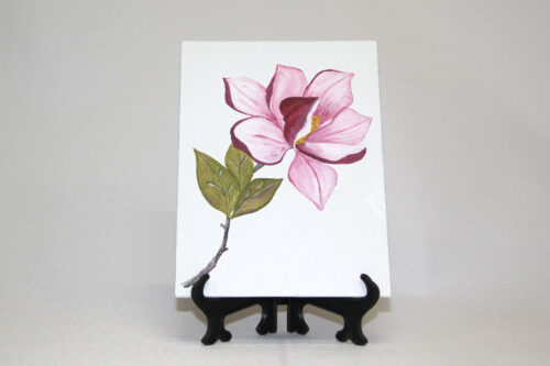 Magnolia en Pintura Acrílica Decorativa 01