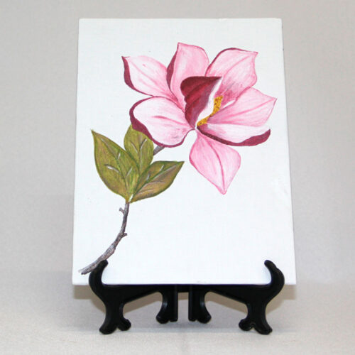Curso + Kit Pintura Acrílica Decorativa Magnolia