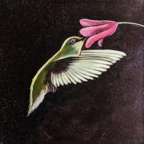 Colibrí en Pintura Acrílica