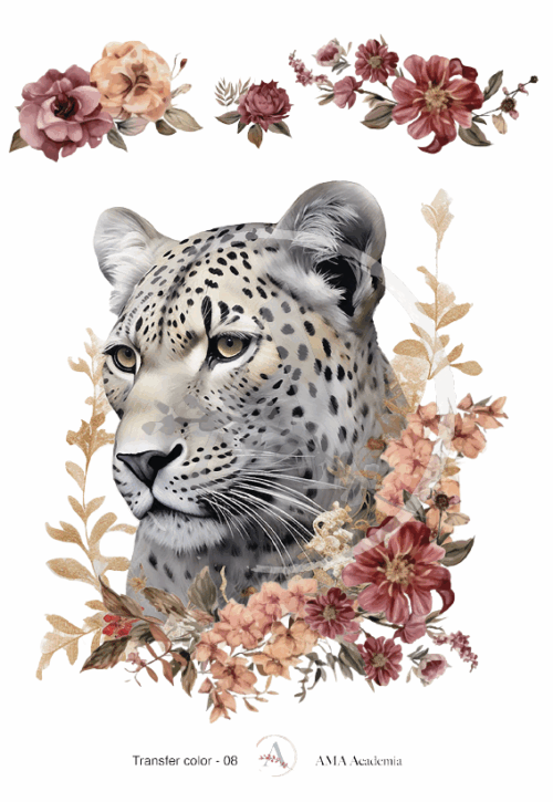 LAMINAS TRANSFER COLOR
