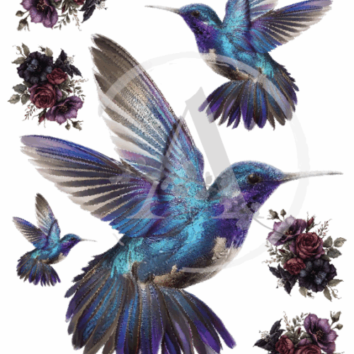 LAMINAS TRANSFER COLOR