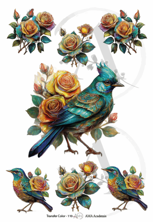 LAMINAS TRANSFER COLOR