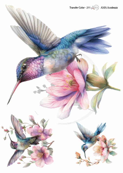 LAMINAS TRANSFER COLOR
