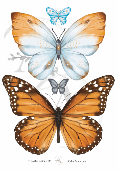 LAMINAS TRANSFER COLOR