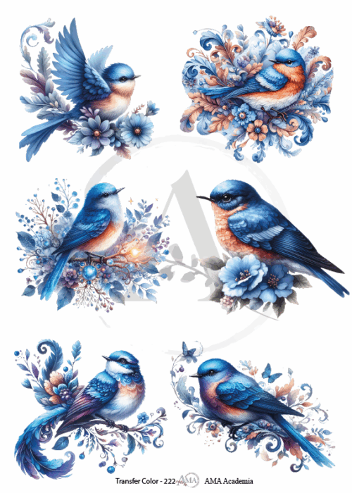 LAMINAS TRANSFER COLOR