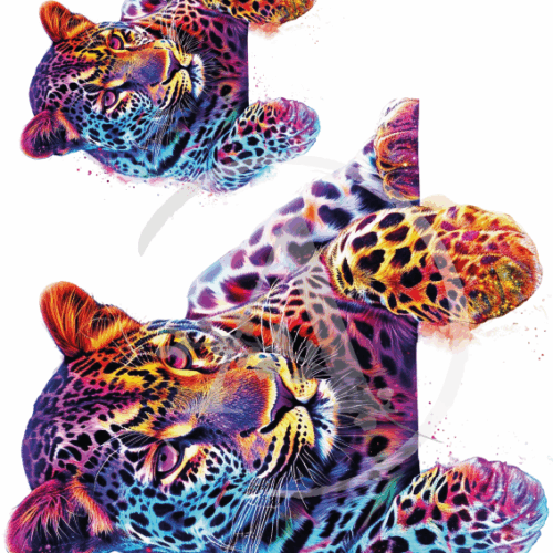 LAMINAS TRANSFER COLOR