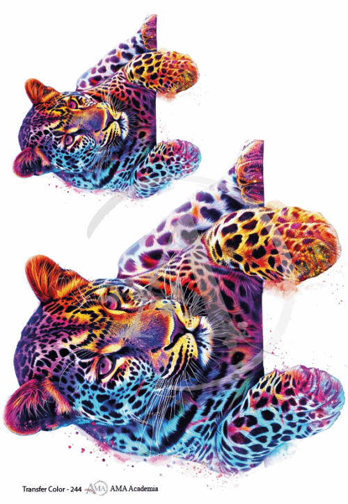 LAMINAS TRANSFER COLOR
