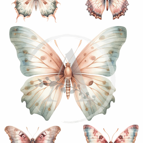 LAMINAS TRANSFER COLOR