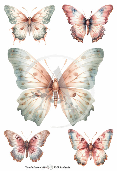 LAMINAS TRANSFER COLOR