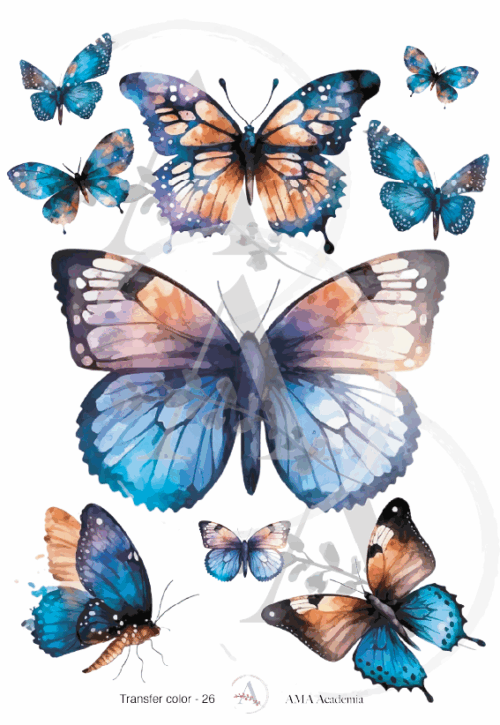 LAMINAS TRANSFER COLOR