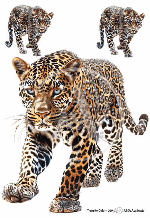 LAMINAS TRANSFER COLOR TC-269