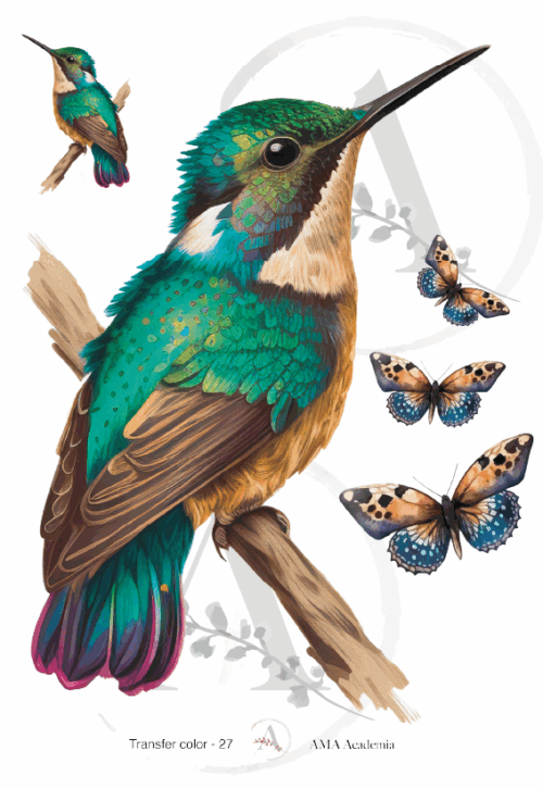 LAMINAS TRANSFER COLOR