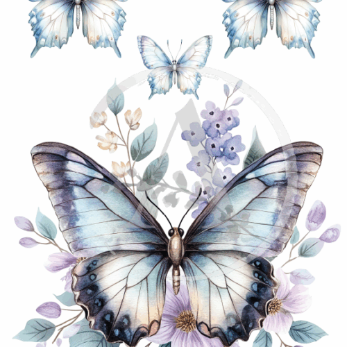LAMINAS TRANSFER COLOR