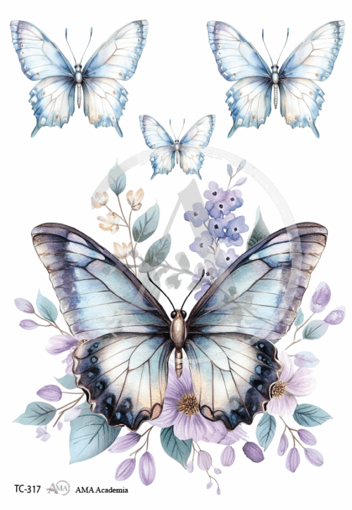 LAMINAS TRANSFER COLOR
