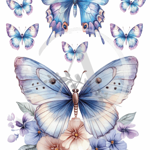LAMINAS TRANSFER COLOR