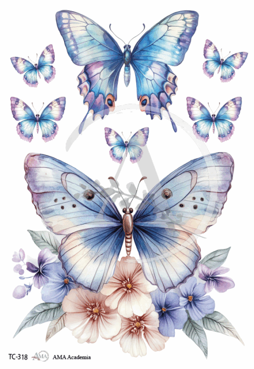 LAMINAS TRANSFER COLOR