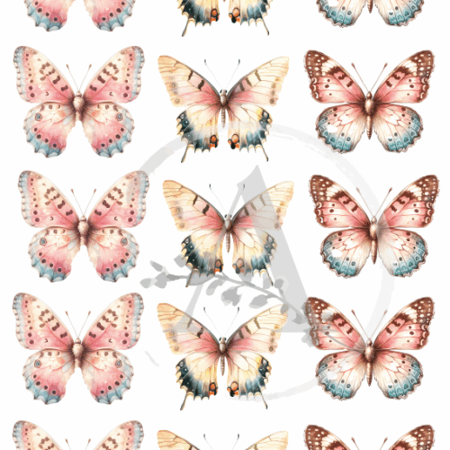 LAMINAS TRANSFER COLOR