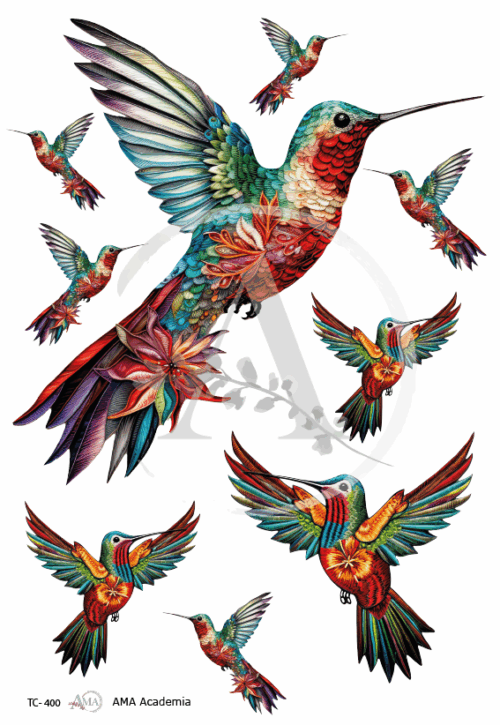LAMINAS TRANSFER COLOR