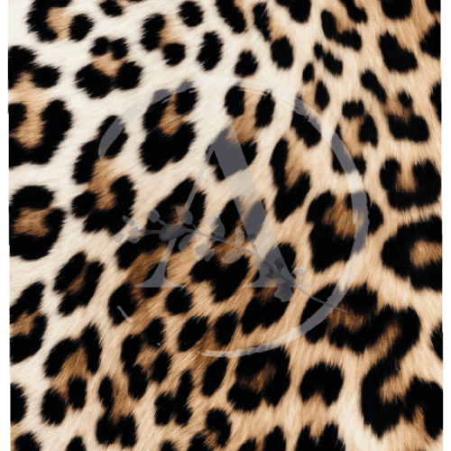 LAMINAS TRANSFER COLOR