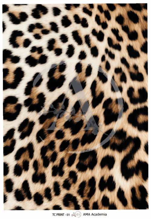 LAMINAS TRANSFER COLOR