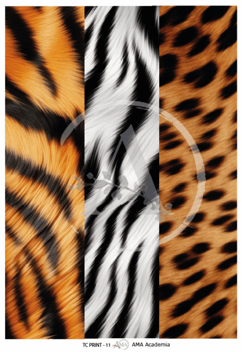 LAMINAS TRANSFER COLOR