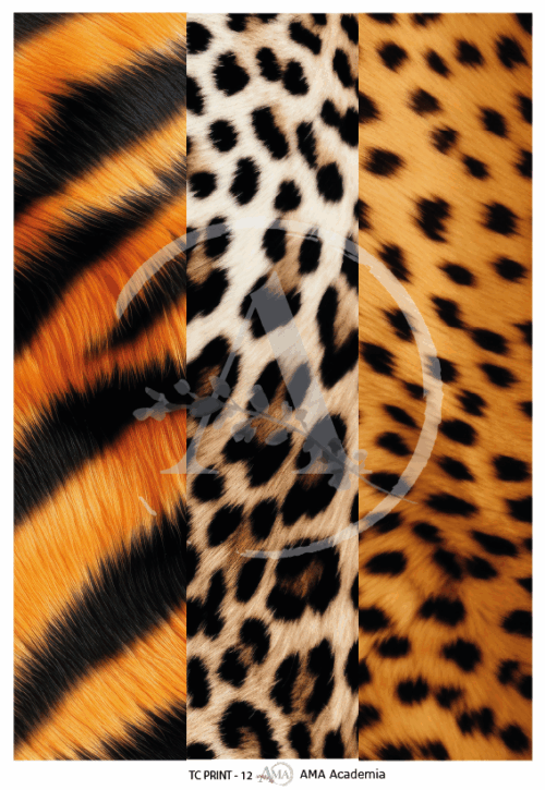 LAMINAS TRANSFER COLOR
